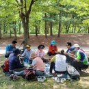 매봉산2 이미지