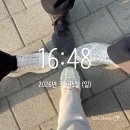 더포레스트힐 | 경기도 5억대 내집마련 프로젝트, 안양 '더포레스트힐' 아파트 임장 후기