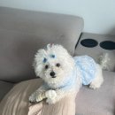 다미살롱 이미지