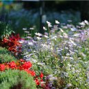 남도가든 이미지