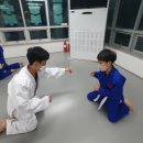 탄방유도관 이미지