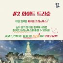 럭키트리