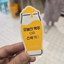 두근두근제주투어 | 제주맥주 양조장 도슨트 투어 & 시음 체험 후기🍺 제주도 비 오는 날 코스로 추천 [9월 핫플]