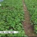 차황상법마을 네이버블로그