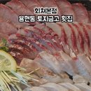 회쳐본점 - 253253 | 회쳐본점