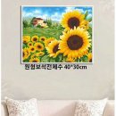 원형농장 이미지