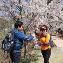 구룡포 초등학교 이미지