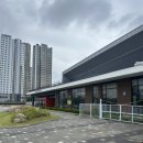 삼화춘 이미지