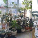 싱싱당구장 이미지