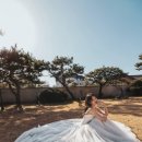 데이든(DAYDEN) 이미지