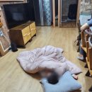 정원이있는안동펜션 이미지