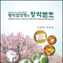 백초당한의원 주간경향