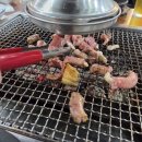 SELF 장어세상 이미지