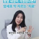 암세포 막을 잘라버리는 치료!! 고농도 셀레나제 주사 치료 이미지