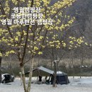 애플마루펜션캠핑장 | [영월캠핑장]조용한 휴식을 원한다면? 영월 마루펜션캠핑장 c사이트 솔직후기