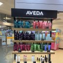 이마트 흥덕점 | 박승철헤어스튜디오 이마트 흥덕점 아베다 전체염색 후기