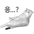 엉클스캣 네이버블로그