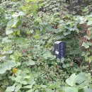 수원시연화장(추모의 집1층) 이미지