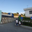 중앙동229 이미지