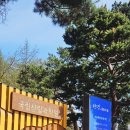 고려대역 3번출구 | 2026 홍릉숲 숲해설 후기 | 33년 만에 전면 개방! 홍릉수목원 완벽 가이드