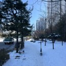 동아삼거리2(TWORLD대리점앞) | [동탄왁싱 추천] 동탄슈가링왁싱 <뽑자슈가링 스킨리포어> 브라질리언왁싱 받고온 생생한 후기!