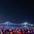 싸이레이스 | 부산 광안리 나이트레이스 금액 및 후기