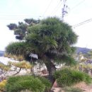 우림농원 이미지