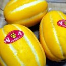 명숙농장 이미지