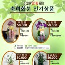 정품화환
