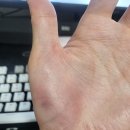 평택중앙초등학교 | 2023.02.19 평택중앙초등학교 이사 알바 후기