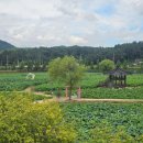 연꽃테마파크 방문자 센터 이미지