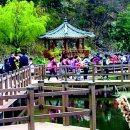 김용마을 / 생태공원 입구 이미지