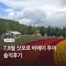 여름 삿포로 여행 비에이 투어 내돈내산 솔직후기 렌트카 투어 비교 라벤더 시기