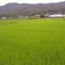 원주민부동산중개 이미지