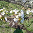 은한농장 이미지