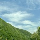 태백고원자연휴양림 자동차야영장 이미지