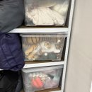 쌍연북2로 | 서산 사진관 백일촬영 두돌촬영 돌사진 두돌사진 베이비촬영 아기촬영 제이민스튜디오 후기