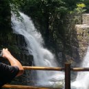 신선1호 이미지