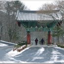 수정-36 이미지