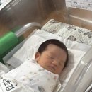 대한산부인과의사회 | 제왕절개 5-6일차 - 괴로운 젖몸살, 유축과 수유의 반복 / 젖몸살 해결방법 공유