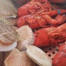 왜관ic실내바다낚시터 이미지