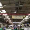 대구청과시장 이미지