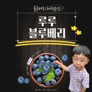 루루농장 이미지