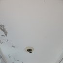 상일바이오 이미지