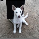 동이네집 이미지