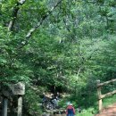 계족산 황톳길 | 대전 계족산 황톳길 후기