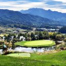 톨게이트 골프존 이미지