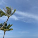 올인결혼 | 몰디브 신혼여행 아나네아 리조트 예약부터 후기까지 올인크루시브 완벽 정리