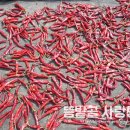 희나리농장 이미지