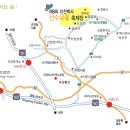 [이천시]제9회 이천 백사산 수유꽃축제 개최 이미지